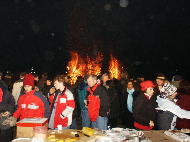 050104falo010.jpg (79747 byte)
