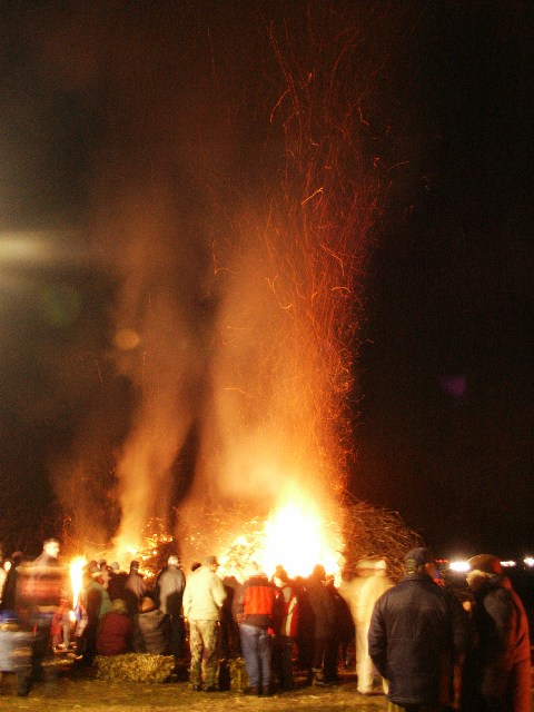 050104falo043.jpg (73971 byte)