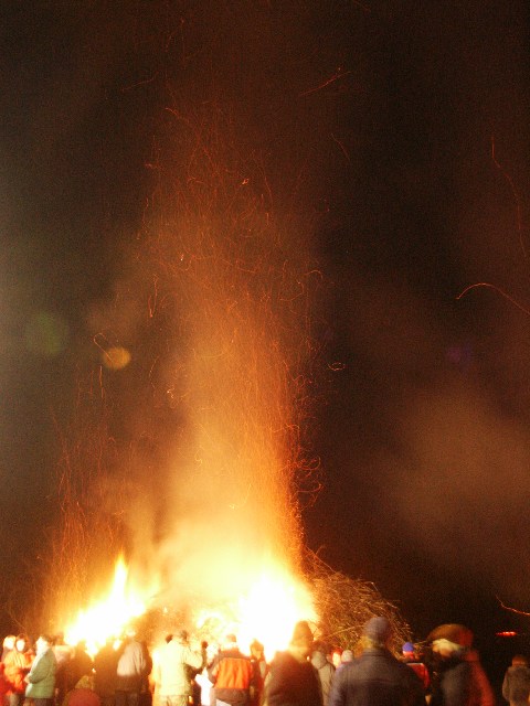050104falo044.jpg (67570 byte)