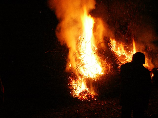 050104falo045.jpg (62849 byte)