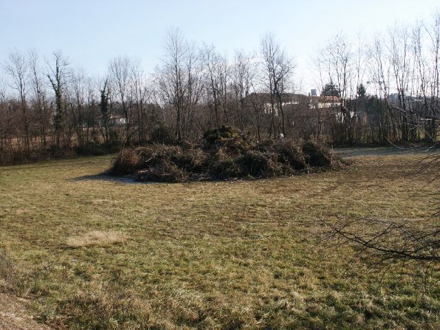 050104falo057.jpg (89079 byte)