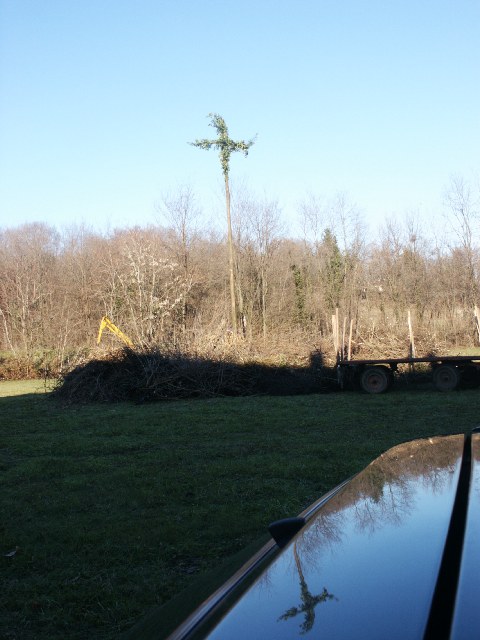 20041230PICT0017.jpg (65666 byte)