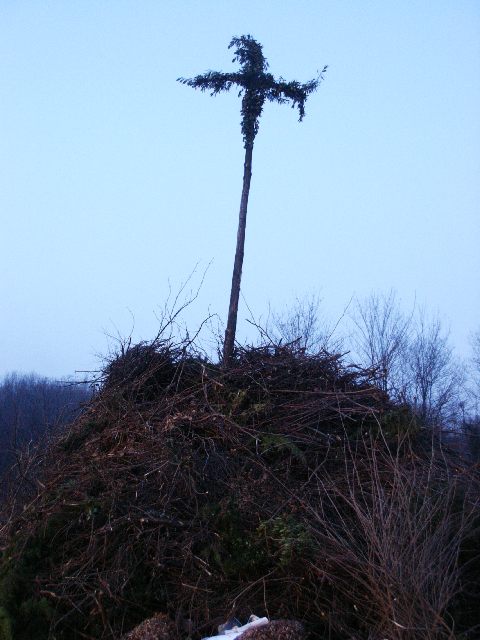 20050106_PICT0004.jpg (52262 byte)