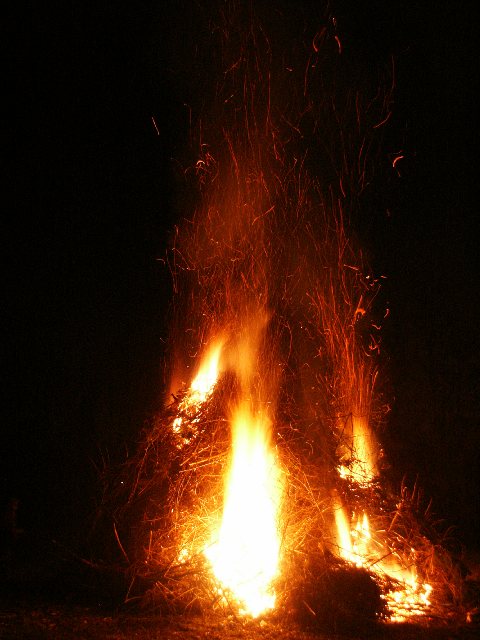 20050106_PICT0023.jpg (54720 byte)