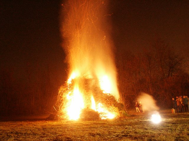 20050106_PICT0025.jpg (62447 byte)
