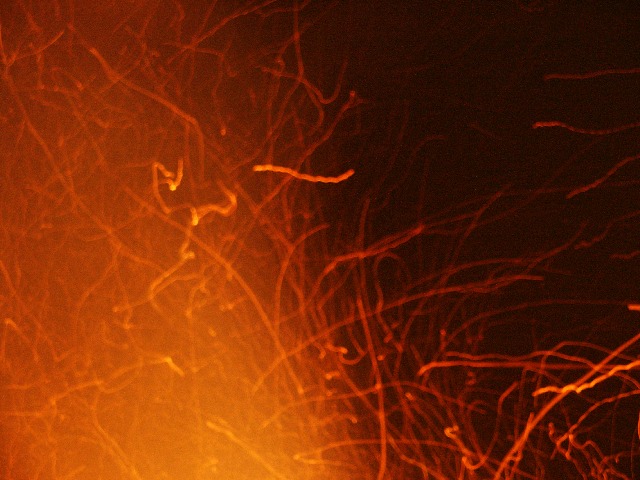 20050106_PICT0044.jpg (89071 byte)