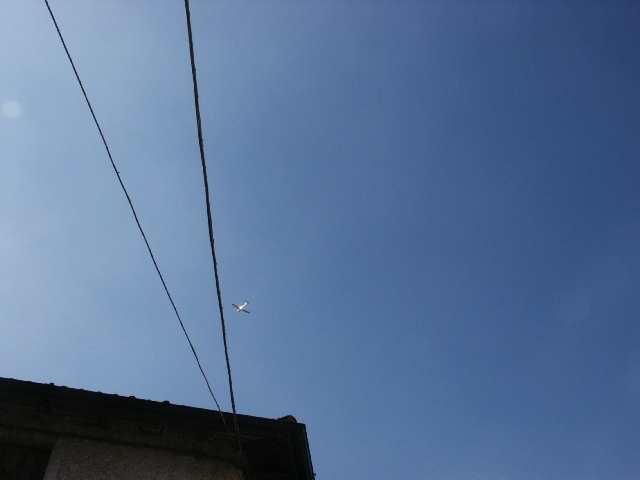 20050313_PICT0031.jpg (87312 byte)