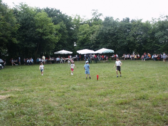 2giu2003_026.jpg (107649 byte)