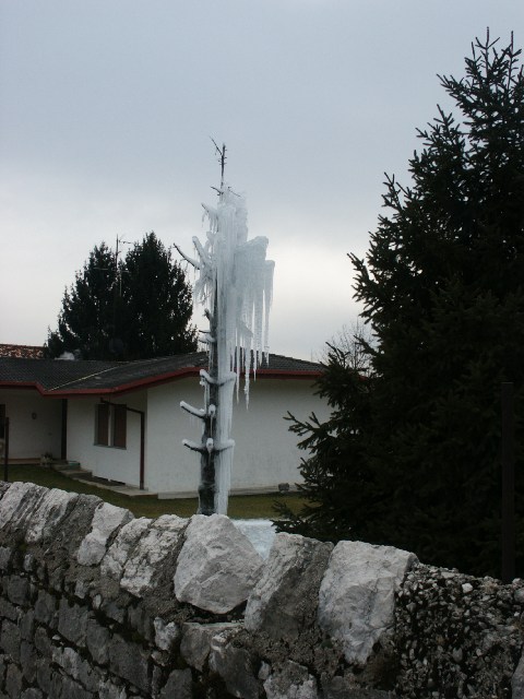 albero05.jpg (72727 byte)