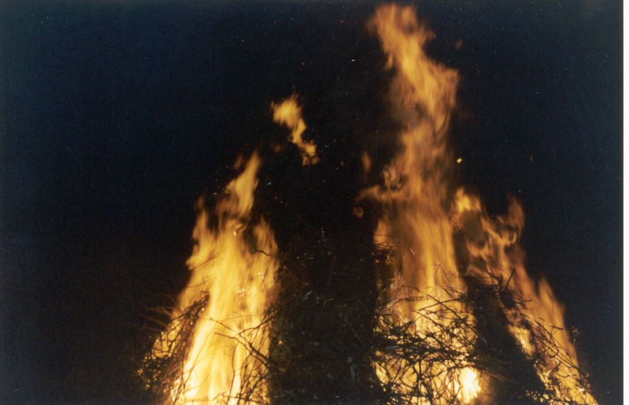 capan05.jpg (67666 byte)