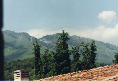 vista02.jpg (28888 byte)