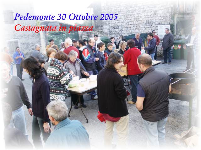 castagnata2005.jpg (51201 byte)